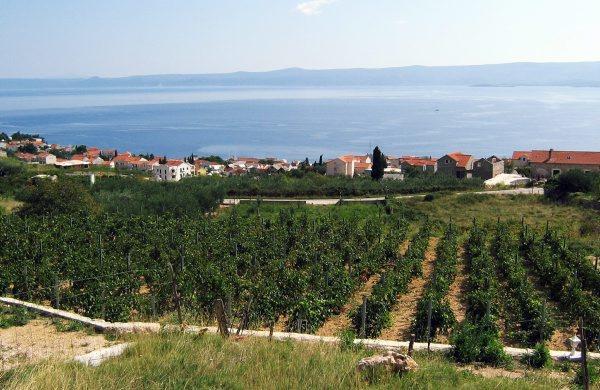 Holiday Home Vineyard House Μπολ Εξωτερικό φωτογραφία